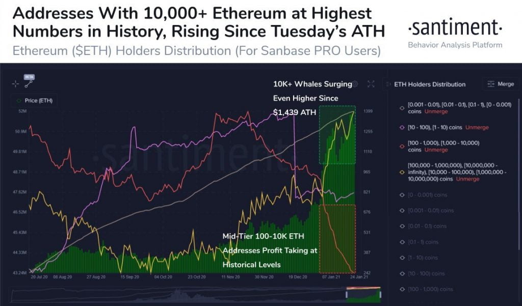 Ethereum Whales Are Increasing as Smaller ETH Addresses Take Profits 14