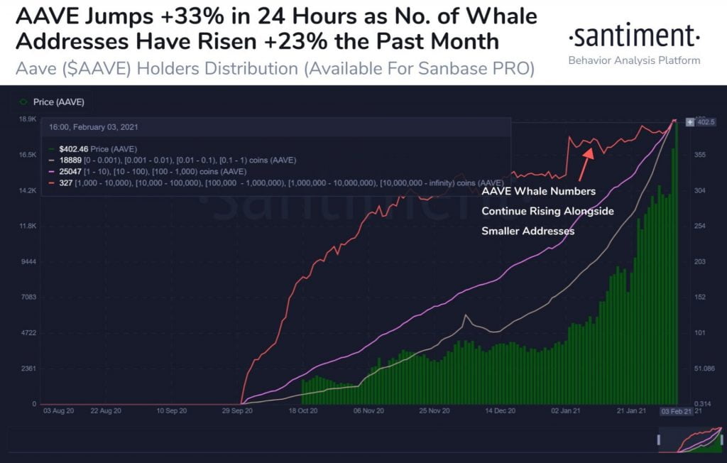 Aave (AAVE) Whales Have Increased by 23% in One Month Altcoin News  