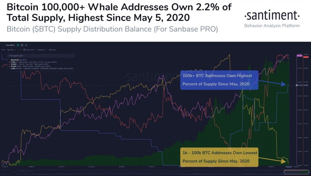 Bitcoin Whales Holding 100k+ BTC Increase to an 11 Month High Altcoin News  