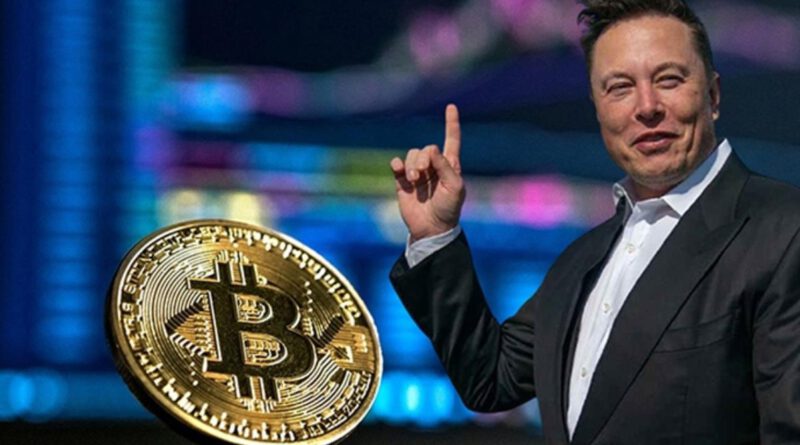 Who is Elon Musk? How old is Elon Musk and where is he originally from? What is Elon Musk's Twitter address? Bitcoin (BTC) News  