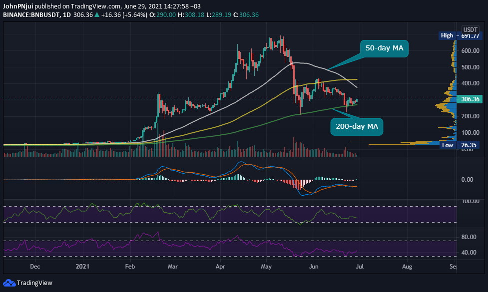 Binance Coin's 200-day MA Holds, as 16th BNB Coin Burn Beckons 17