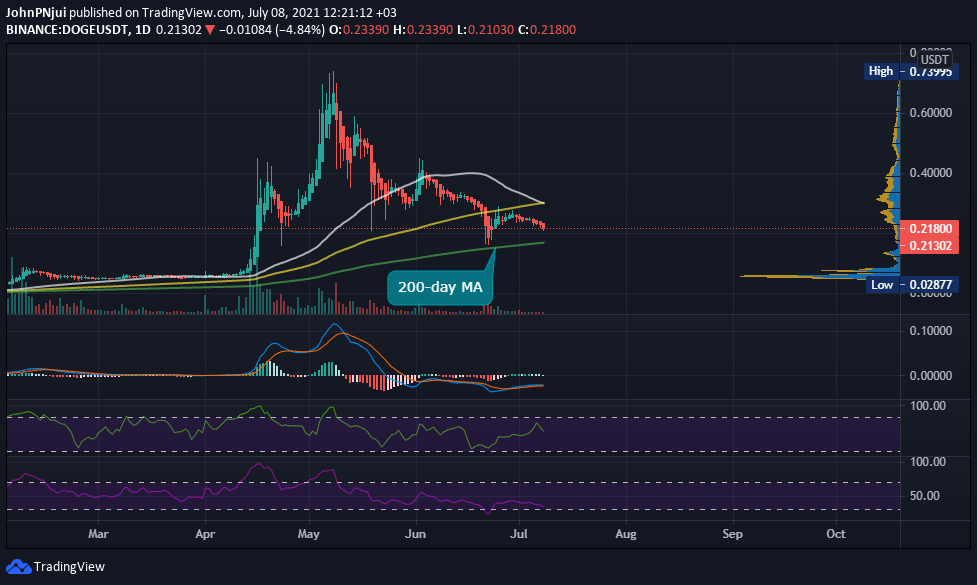 Dogecoin’s 200-day MA Holds the Key to DOGE Retaining a Top 10 Ranking Altcoin News  