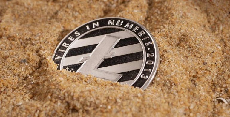Litecoin Whales Have Increased Their Holdings by 270k LTC in July Altcoin News  